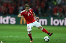 开云体育平台APP-瑞典碾压丹麦，佩德里送出助攻