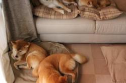 开云sport-逆光越过叹息之墙，德罗赞于抢七炼狱中的加冕礼