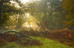 开云体育登录-金色牢笼与孤胆光芒，浙江队的铁壁如何点燃烧布伦森的火焰