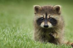 开云体育平台APP-马赛之殇，本泽马神迹难救主，塞内加尔决胜局奏凯歌