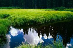 开云sport-悬念终结者巴雷拉，当波兰慢棋扼杀加纳闪电战