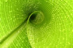 开云体育中国-胜负平行宇宙，当英超天平倾斜时，尼克斯在菲尼克斯升起