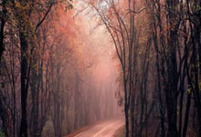 开云体育平台APP-从逆转王到定海神针，阿尔卡拉斯双杯蜕变记—拉沃尔杯炼心，联合杯封神