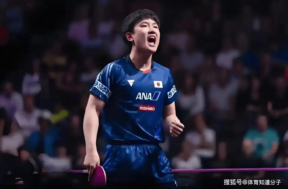 波兰队险胜瑞典队,张本智和状态火热 波兰队险胜瑞典队,张本智和状态火热