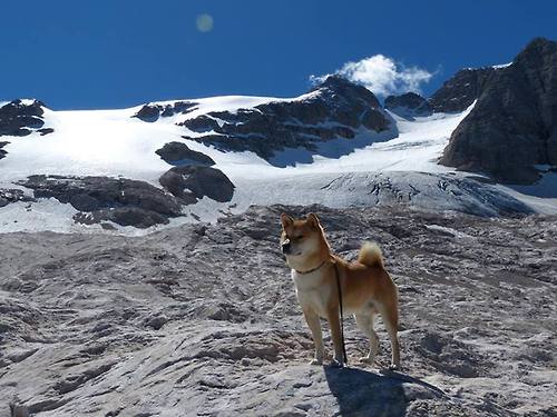 东西争锋！广东全员皆兵大破独行侠 克莱轰28分导演逆转