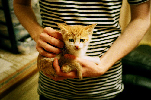 汤杯惊魂夜!印度队3-2险胜丹麦改写历史,马琳临危救主成最耀眼星辰