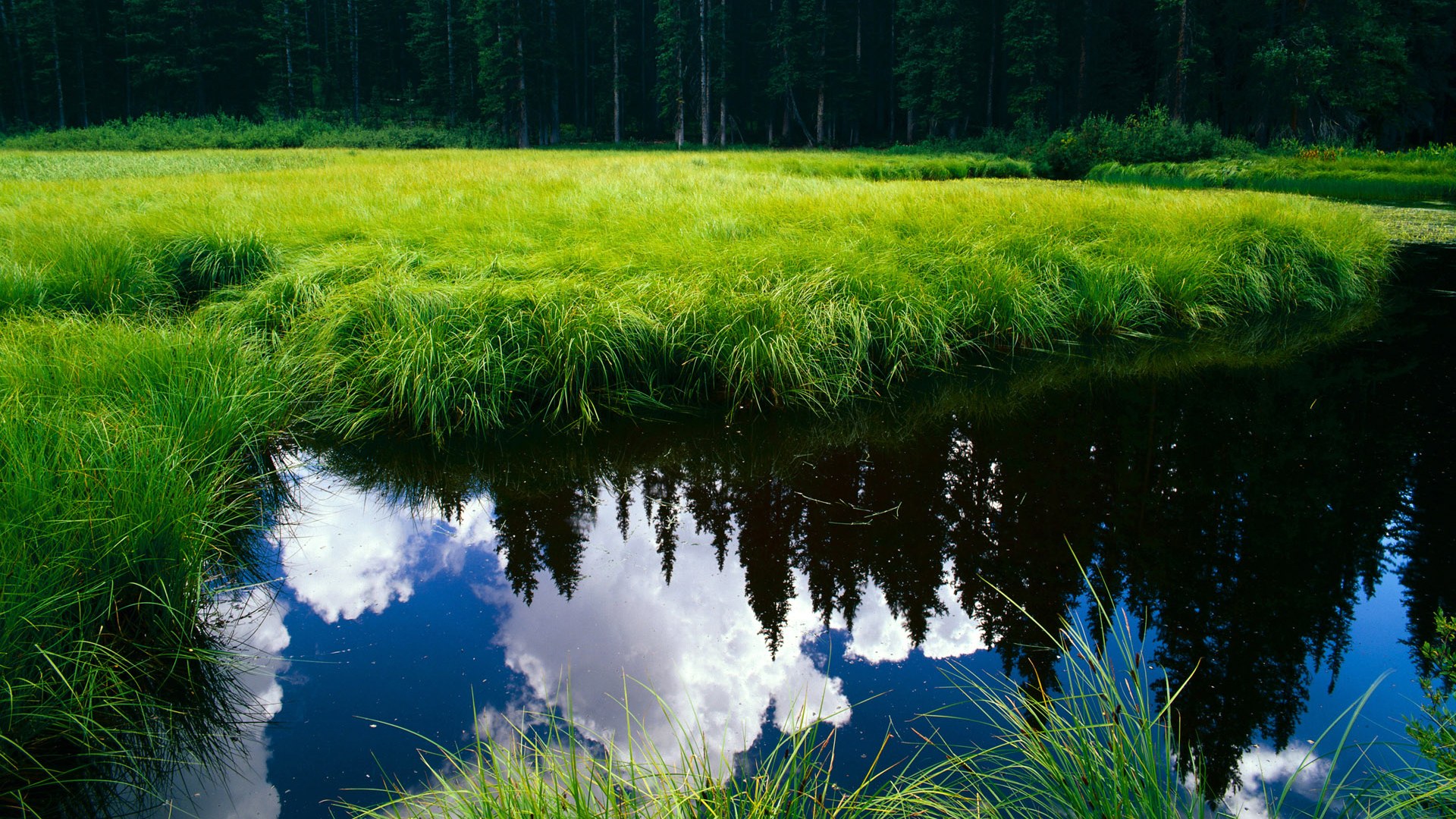 悬念终结者巴雷拉，当波兰慢棋扼杀加纳闪电战