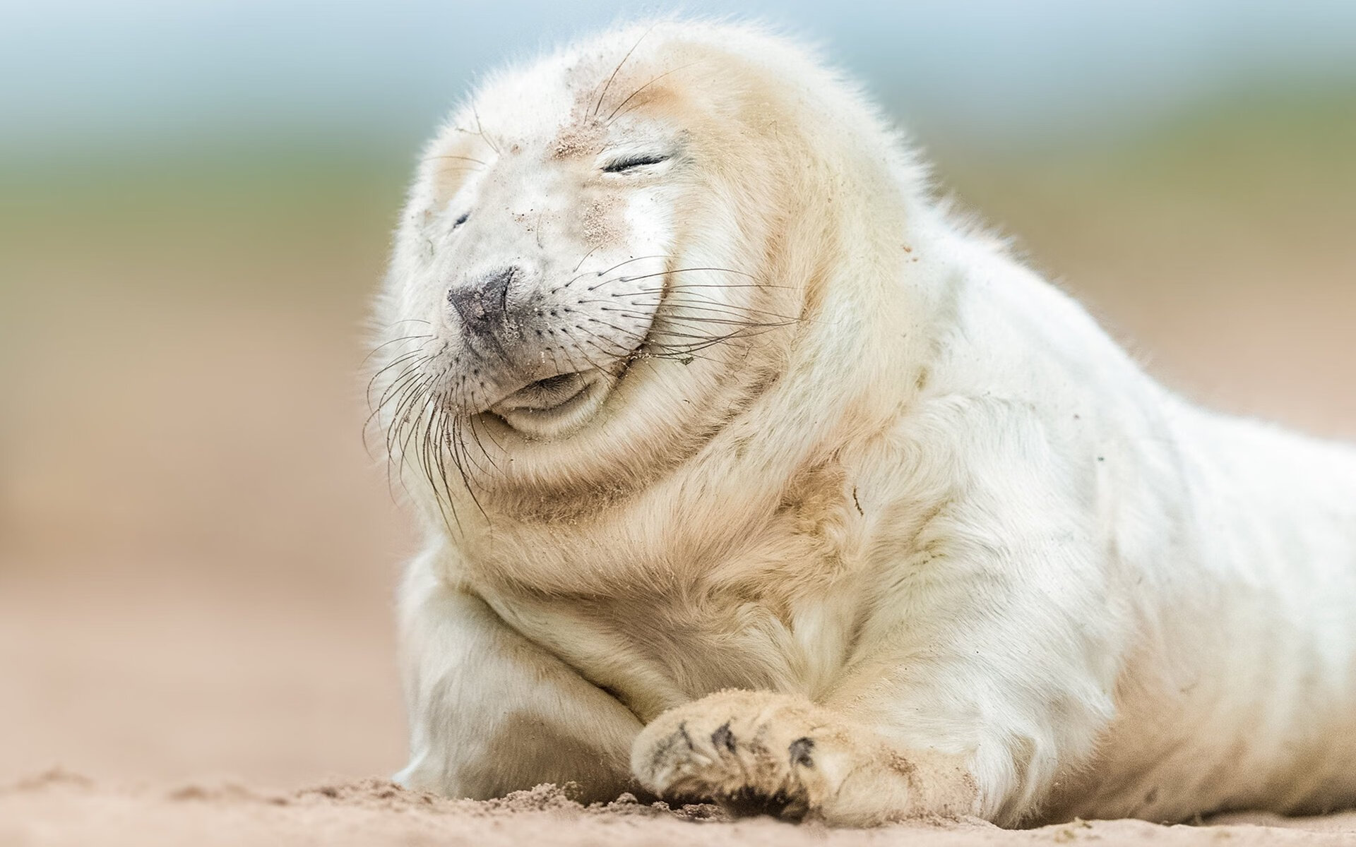 编织童话，当皇家社会遇见玻利维亚，赖斯一人撕碎足球地理学