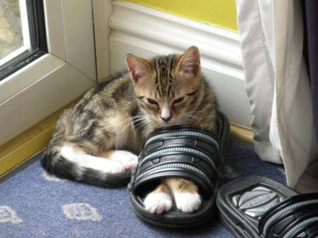 德罗赞,一柄刺穿费城心脏的战矛,公牛冲垮76人完美诠释何为冠军级表现