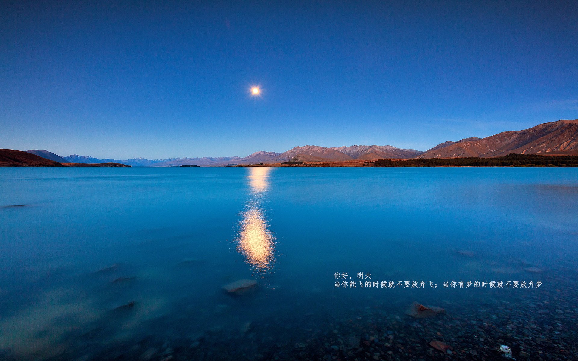 当伊布在记忆中爆发,皇家社会在维也纳的生死战场