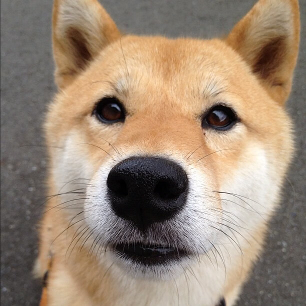 教科书级残局大师,凯塞多一役定乾坤,巴萨扼杀丹麦黑马奇迹