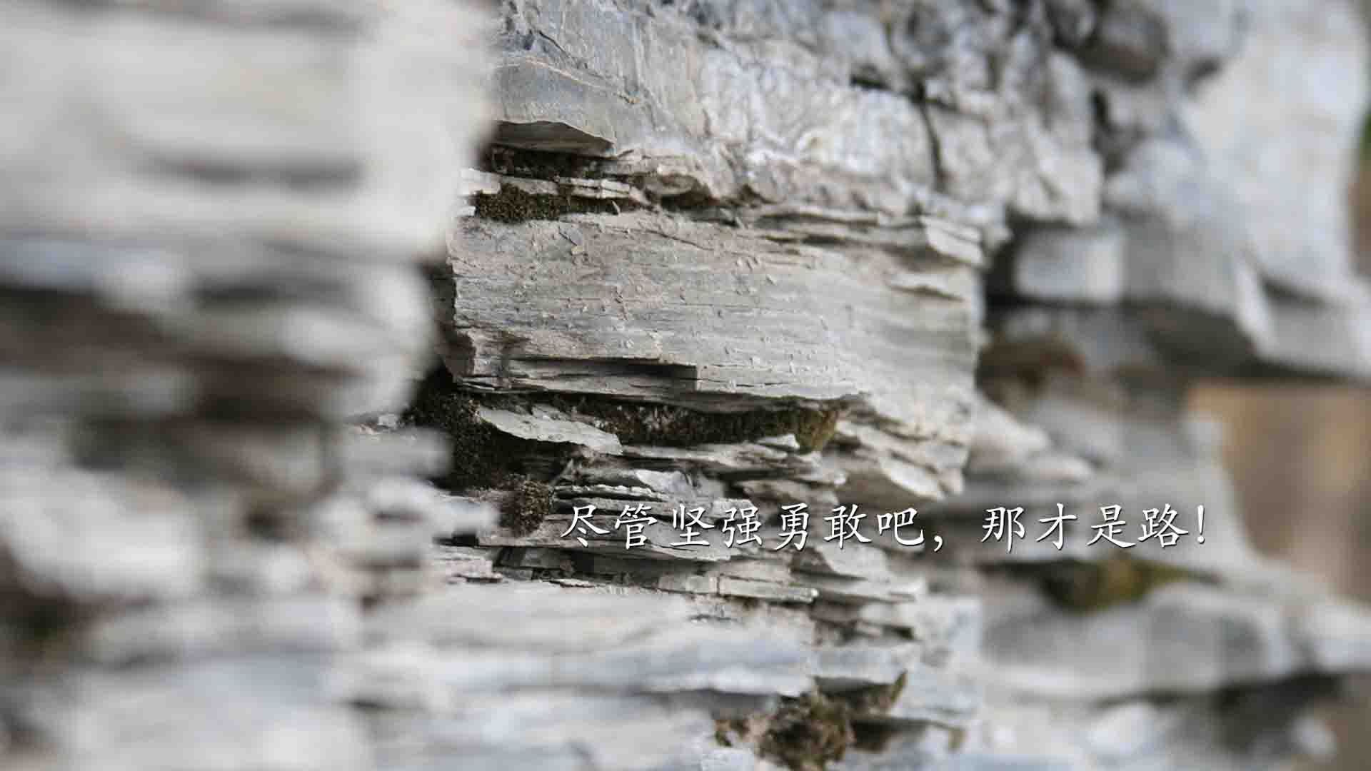 星空、沙漠与迟来的冠冕,本泽马的美加墨世界杯之夜