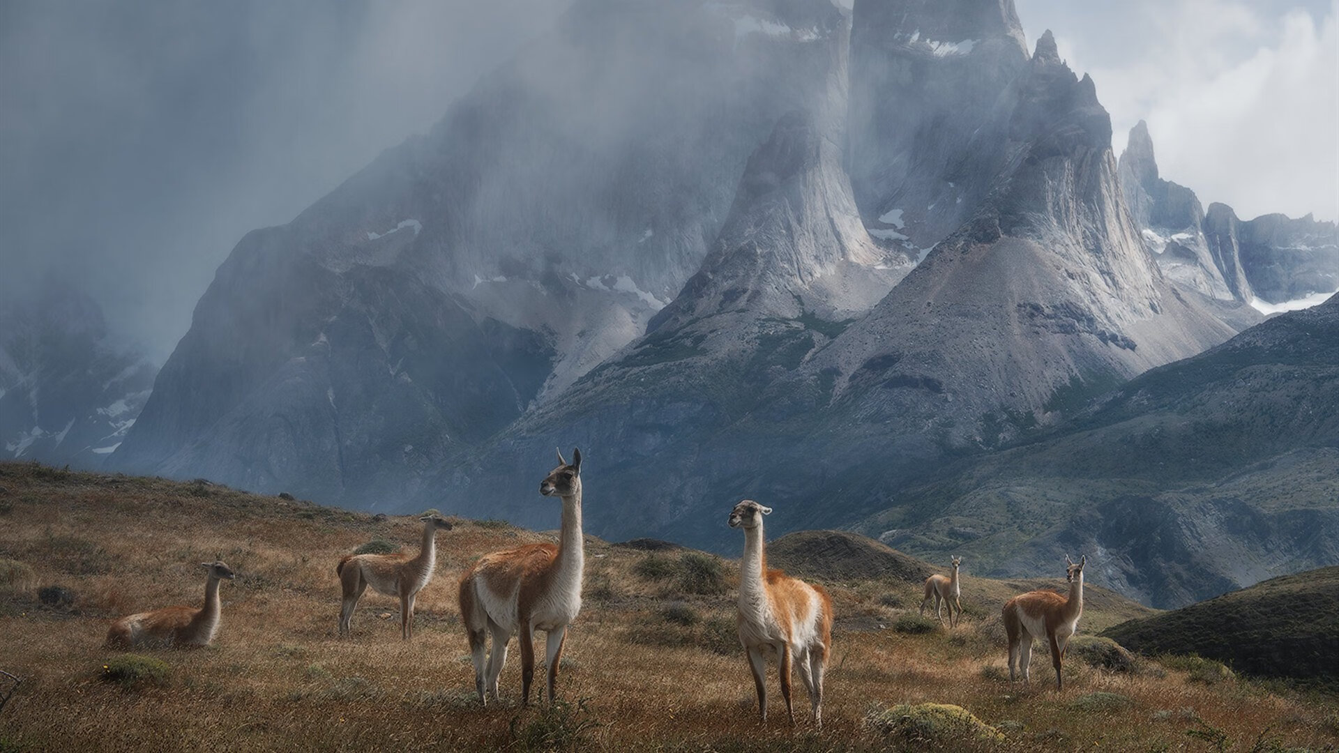 欧冠唯一性战役，加纳天才两连击撕裂米兰，拉什福德87分钟化身关键先生