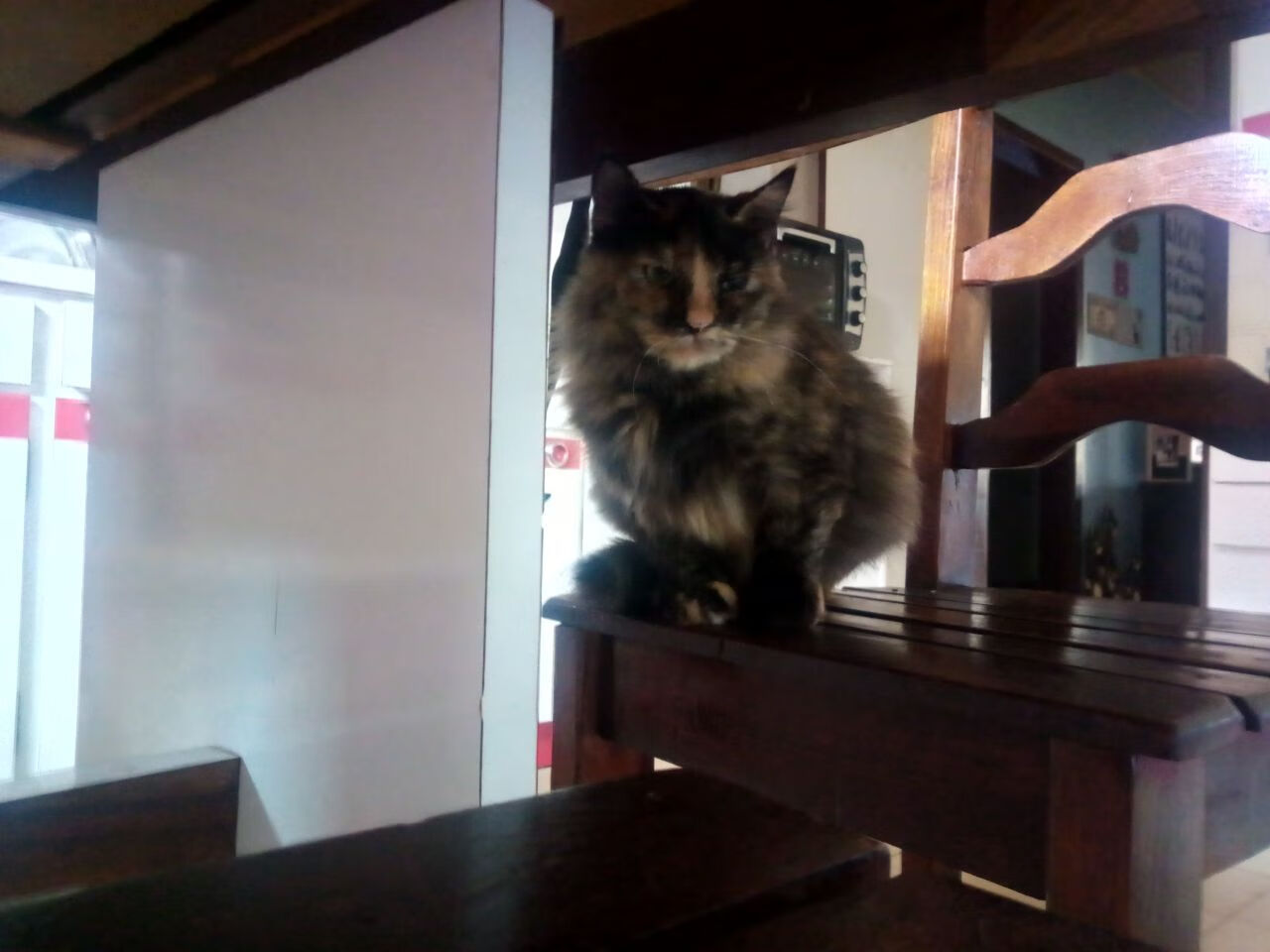 双重奏,莫德里奇用魔法诠释不朽,突尼斯以意志险写传奇