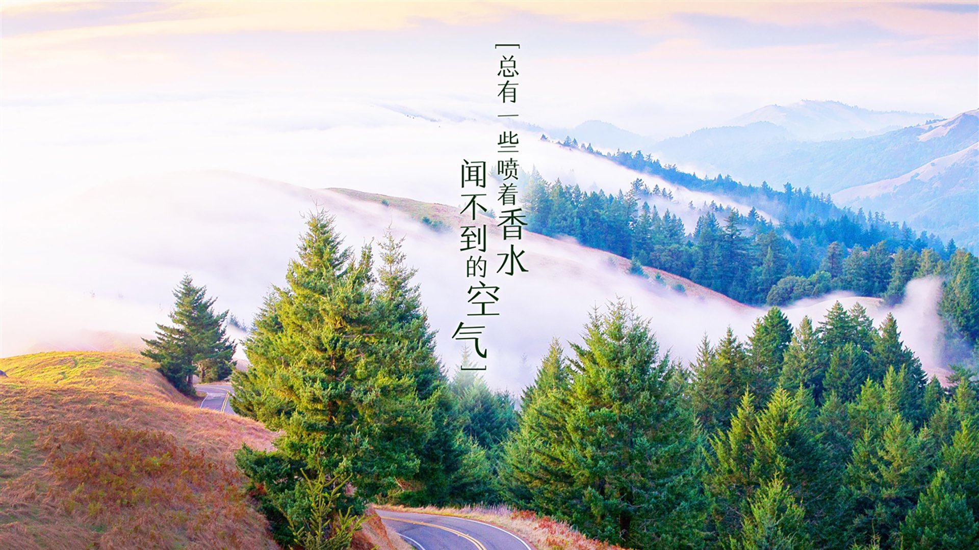 从边路猎豹到中场大脑,那一夜,阿诺德用降维变阵,改写了2026世界杯的剧本
