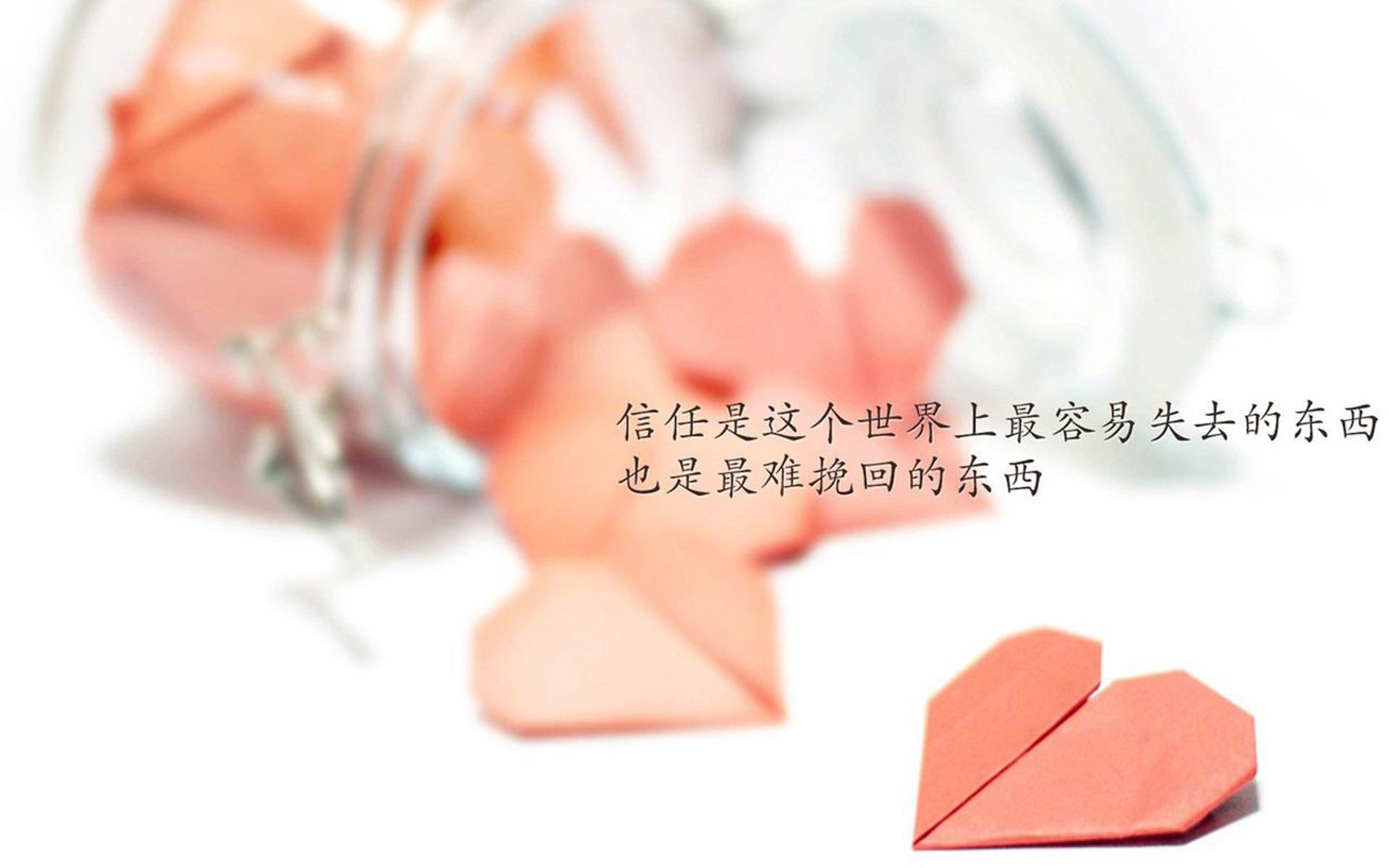 这是一篇为您定制的、具有唯一叙事视角和情感深度的文章