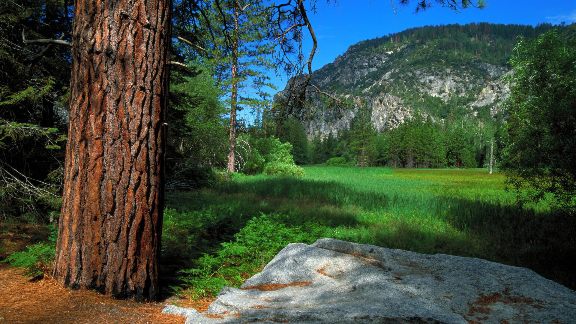 逆转橙衣军，2026世界杯D组冷门之夜，罗马尼亚奇迹与萨内之殇