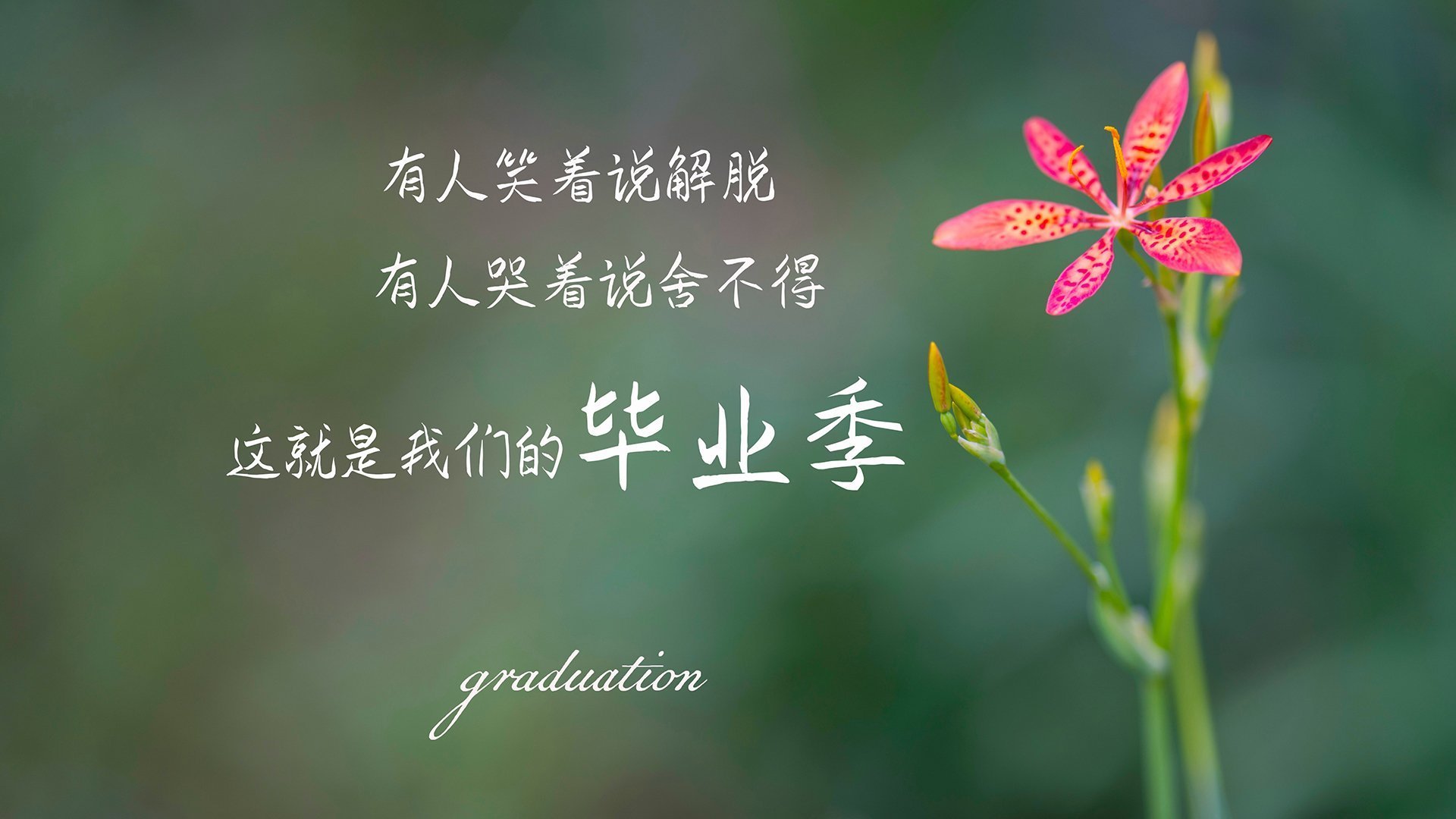 最后一秒的宿命,当印度用德布劳内之剑刺穿英格兰的心脏